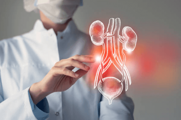 Urinary Bladder Surgeries